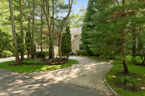 a view of a park with trees