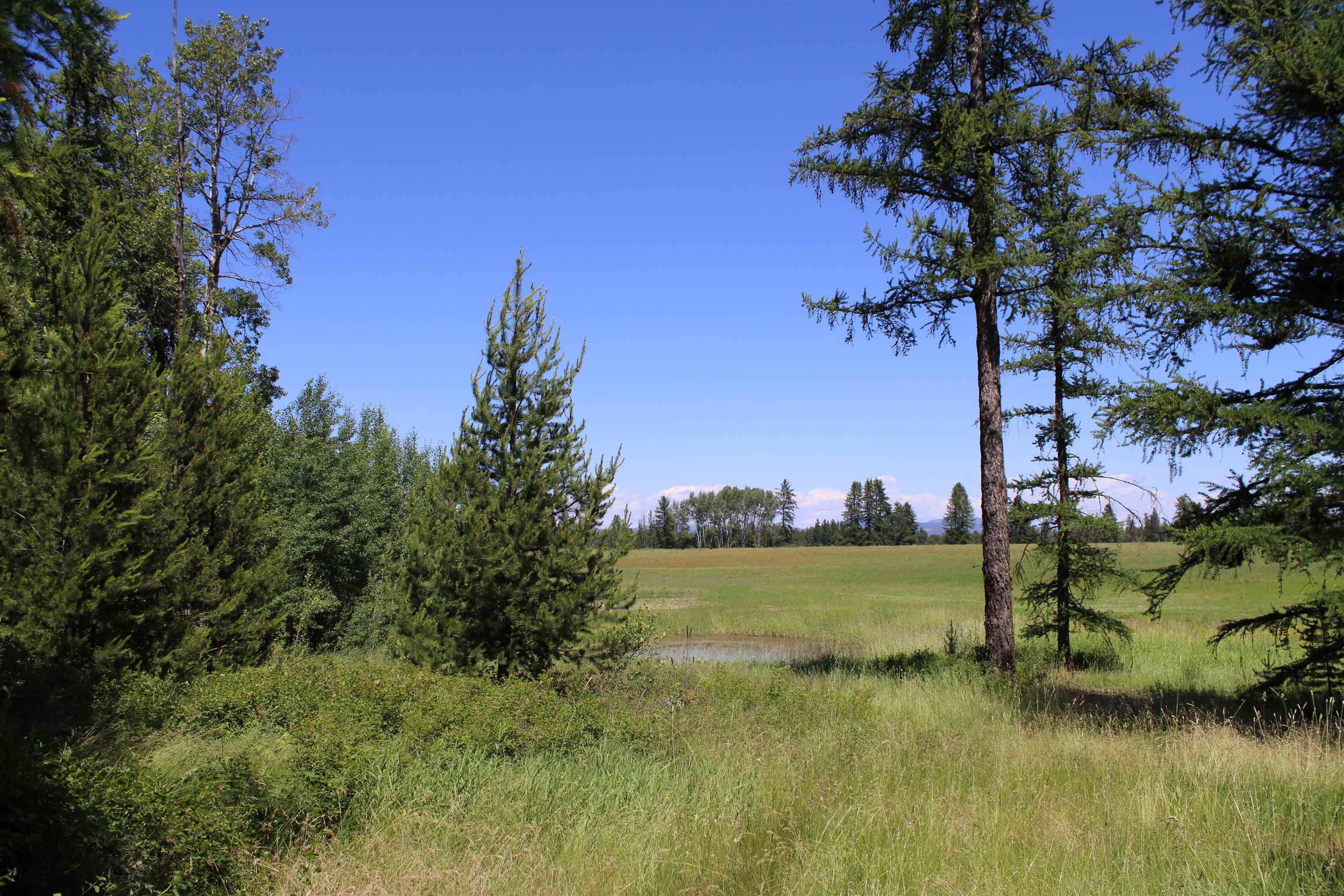 Gibson-dahl West Rd Clayton Wa 99110 Road Clayton, WA 99110 - Photo 4 of 13