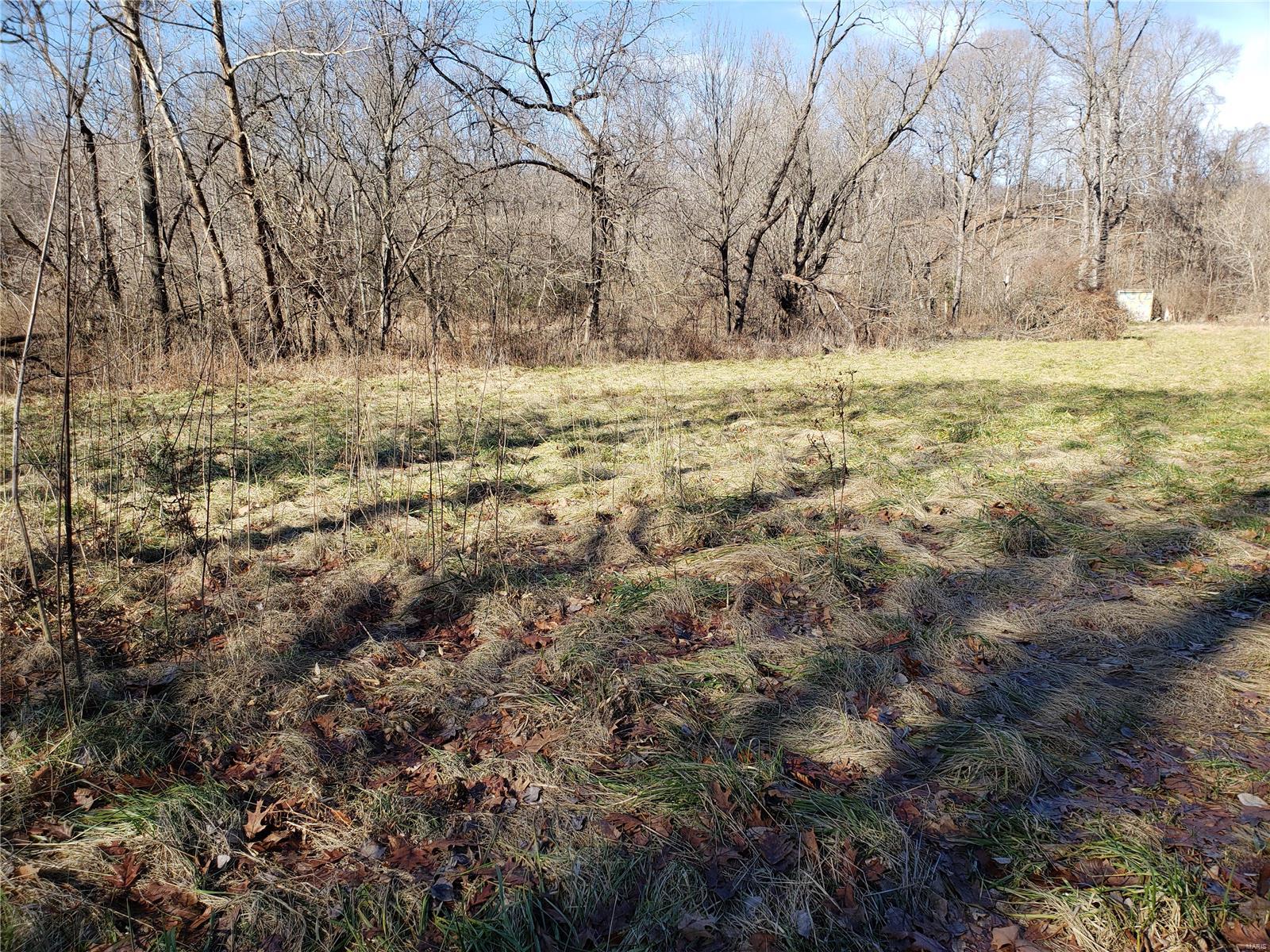 0 Nutwood Road Fieldon, IL 62031 - Photo 1 of 2