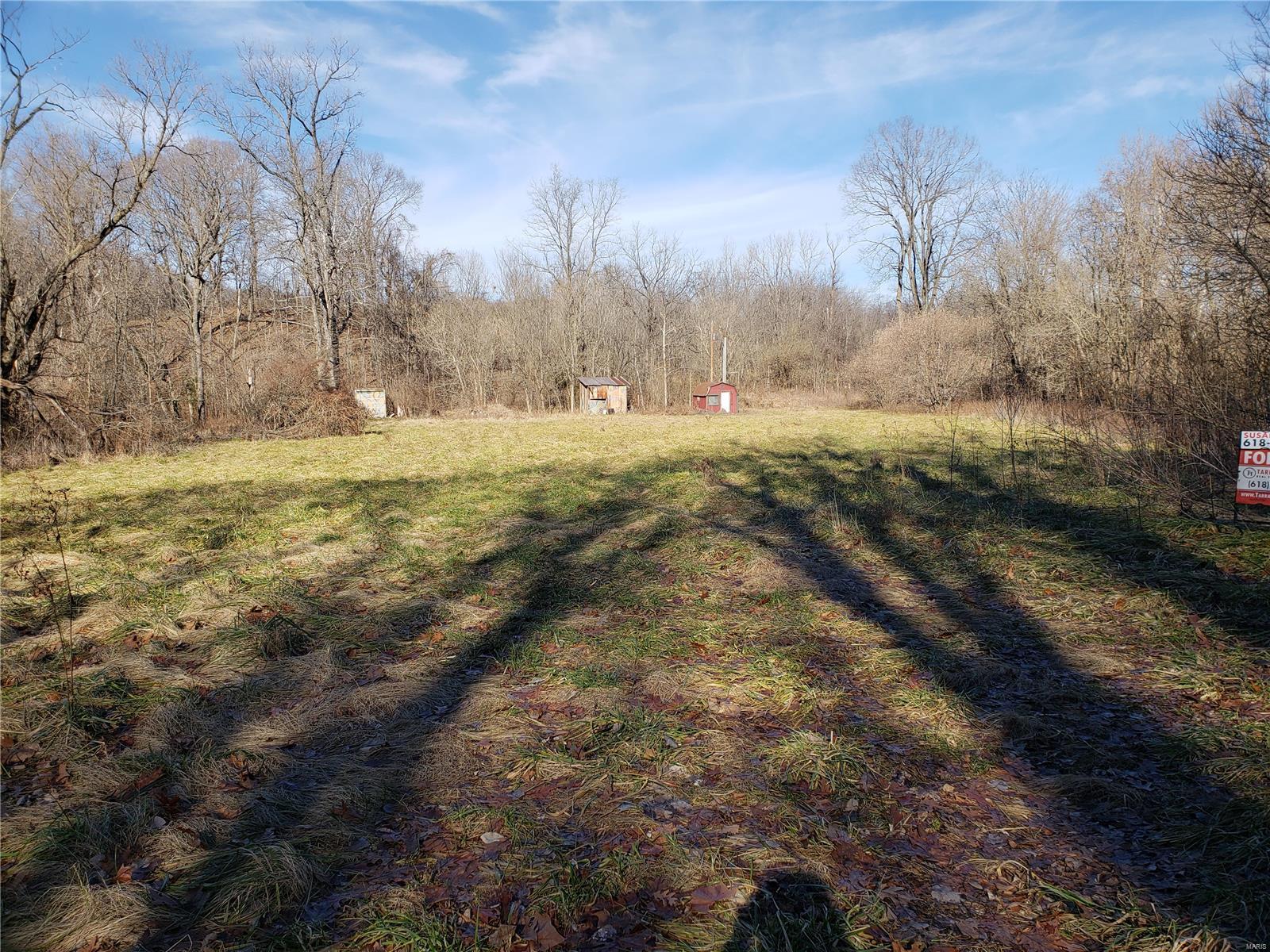 0 Nutwood Road Fieldon, IL 62031 - Photo 2 of 2