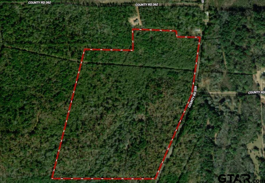 0 County Road 359 Winona, TX 75792 - Photo 2 of 2