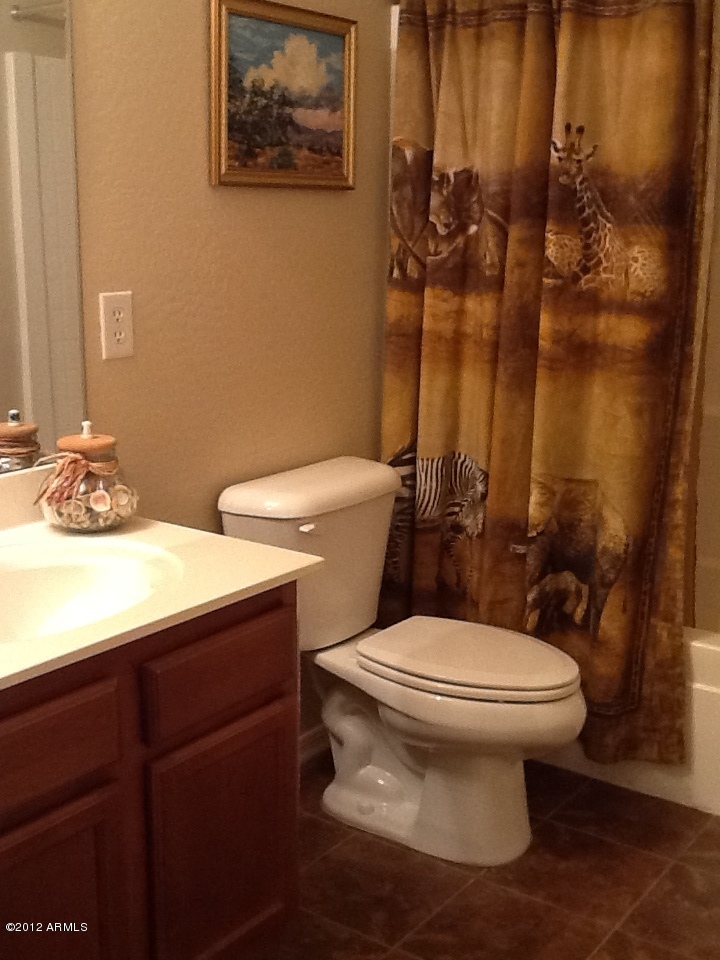 43782 West Magnolia Road Maricopa, AZ 85138 - Photo 12 of 22 Bathroom