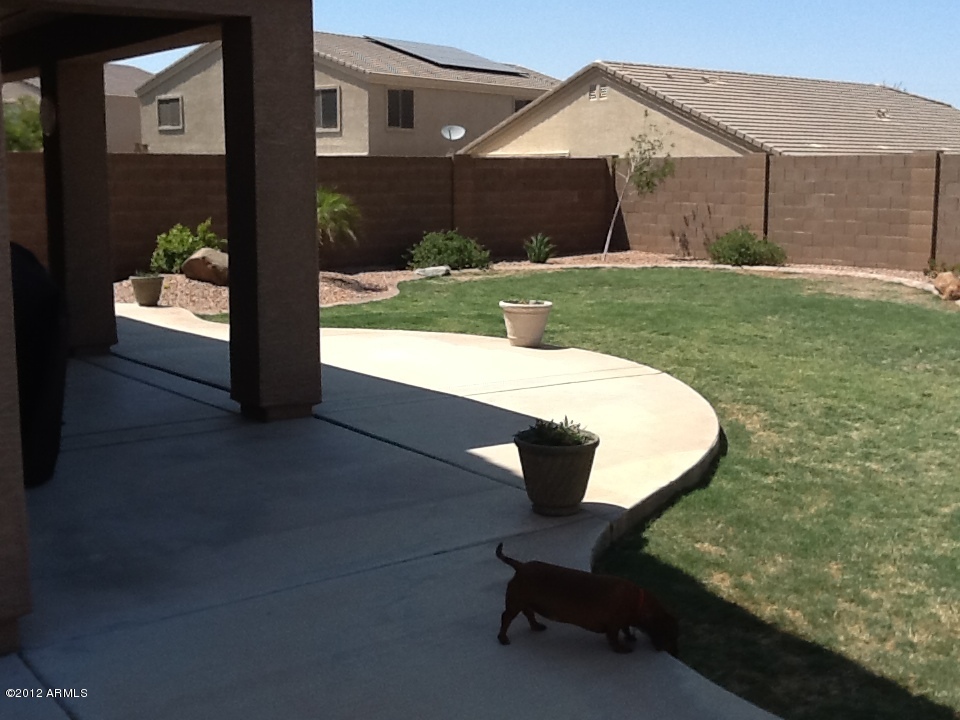 43782 West Magnolia Road Maricopa, AZ 85138 - Photo 18 of 22 View from Patio