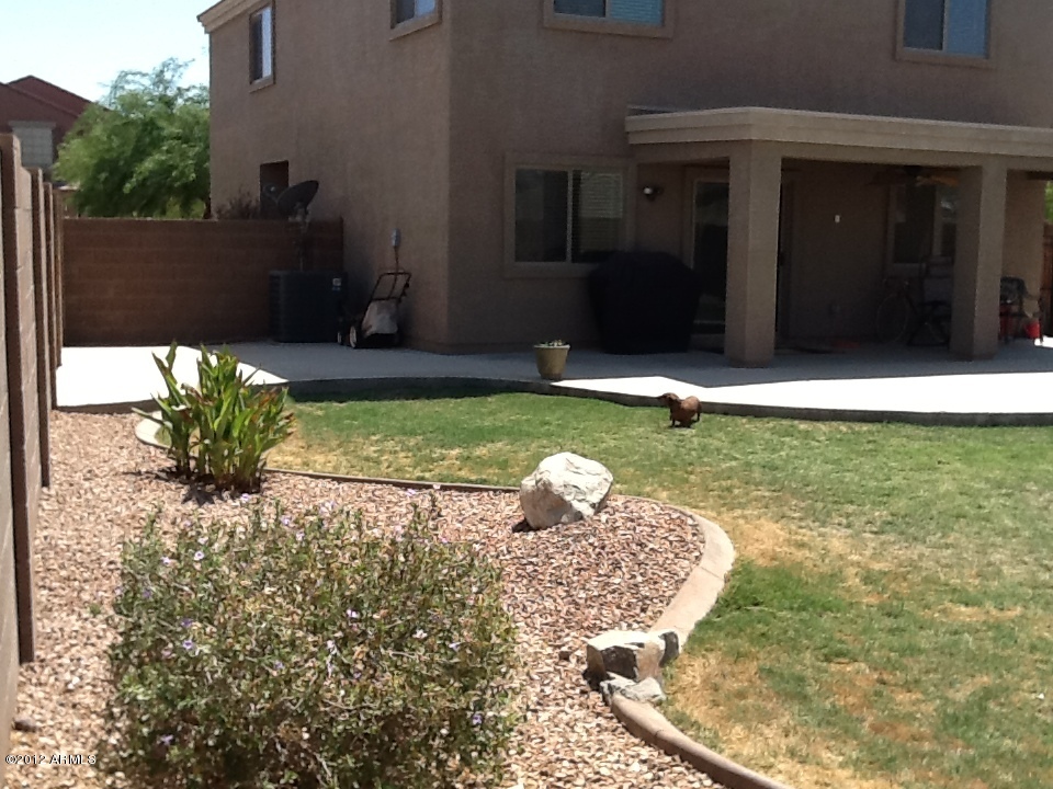 43782 West Magnolia Road Maricopa, AZ 85138 - Photo 19 of 22 View of Backyard