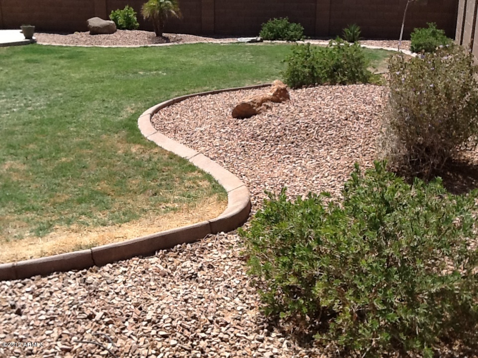 43782 West Magnolia Road Maricopa, AZ 85138 - Photo 20 of 22 Landscaping in Backyard
