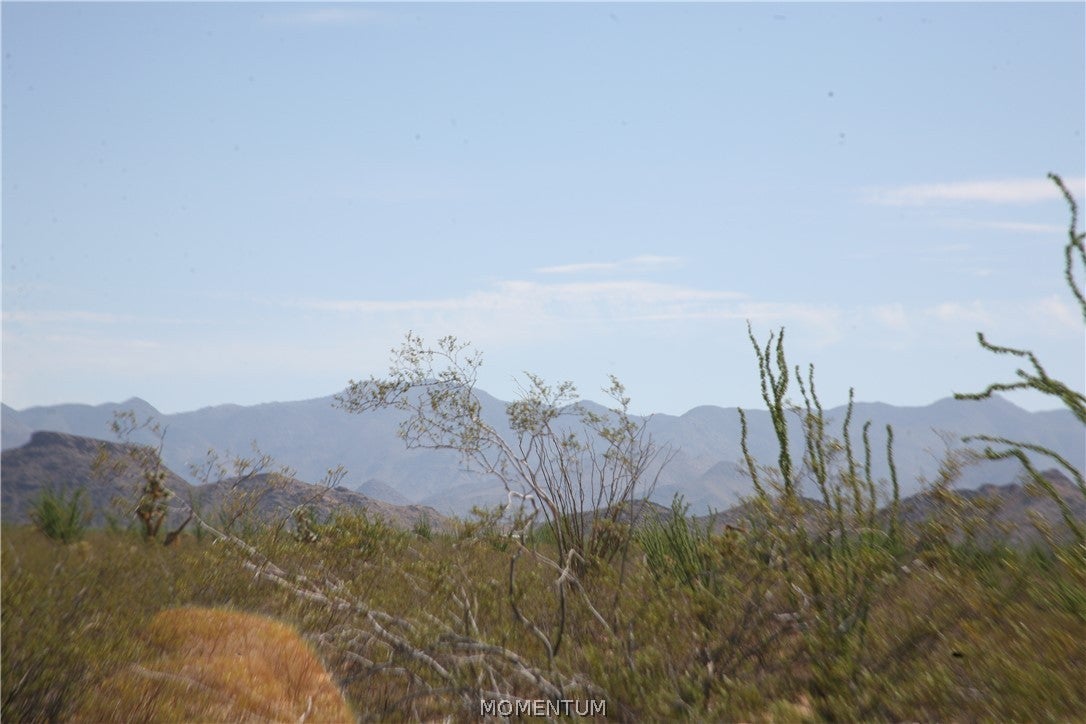 243-15-016 South Custer Road, Unit 3491 Yucca, AZ 86438 - Photo 11 of 61 Gallery Image 11