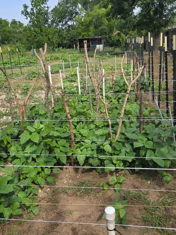 a view of a lake with a bench