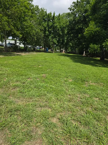 a view of a trees in a yard