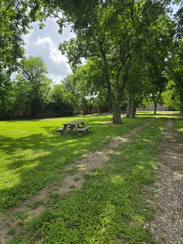 a view of a big yard with a large trees