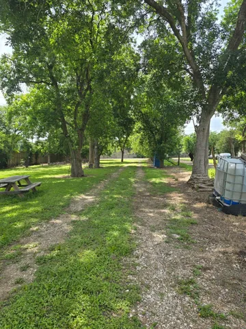 a view of field with trees