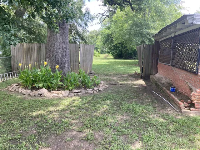 a view of a backyard with large trees and plants