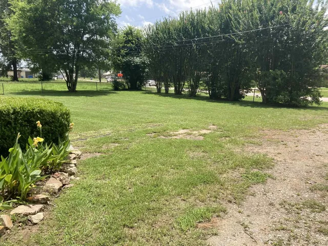 a view of a trees with a big yard