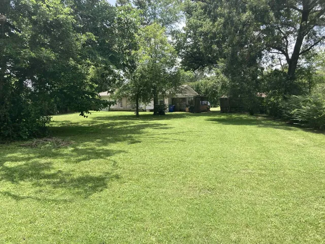 a view of a trees in a yard