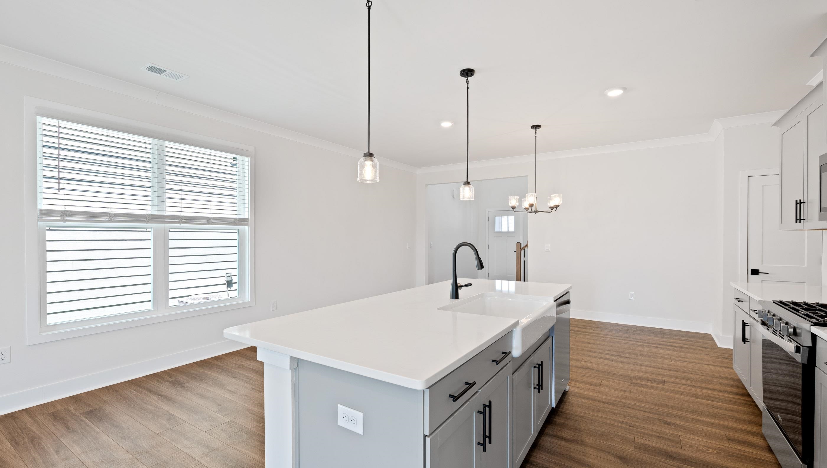 231 Paperbark Drive Greenville, SC 29607 - Photo 6 of 30