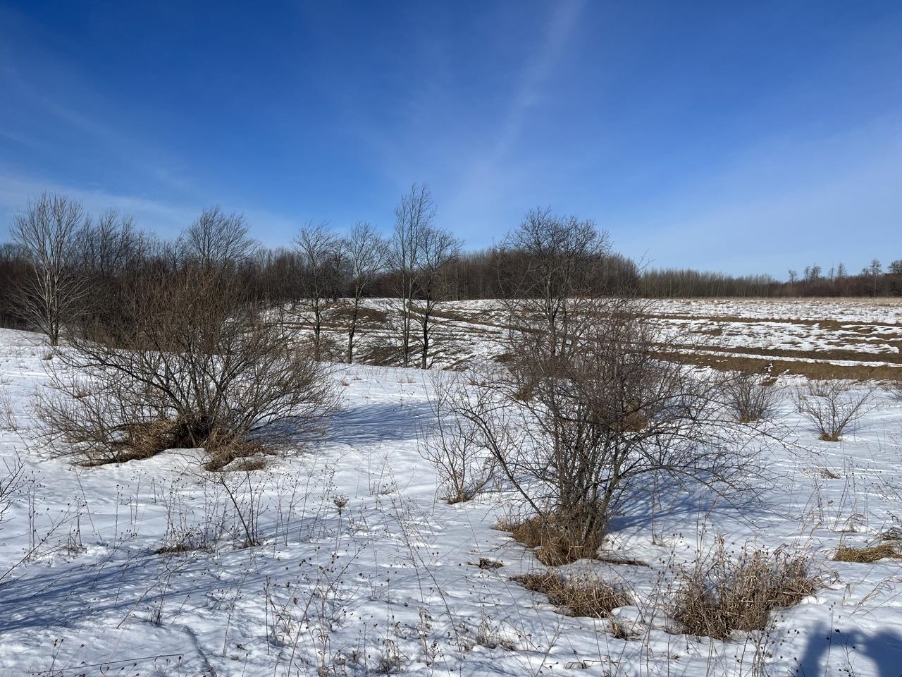 Parcel O Florey's Ranch Road, Unit LOT: O Grawn, MI 49637 - Photo 7 of 11