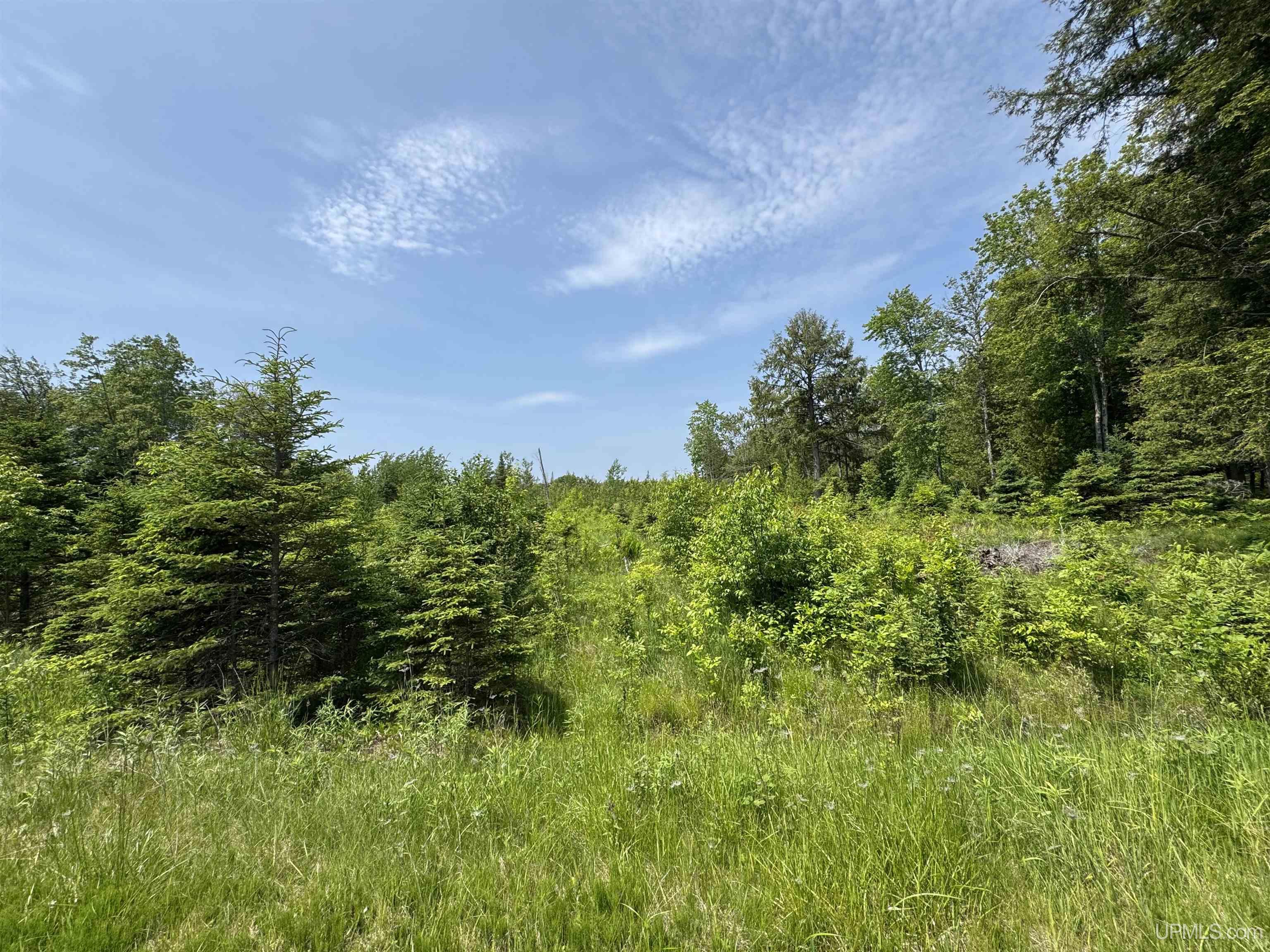9627 Bb Road Rapid River, MI 49878 - Photo 1 of 11 Gallery Image 1