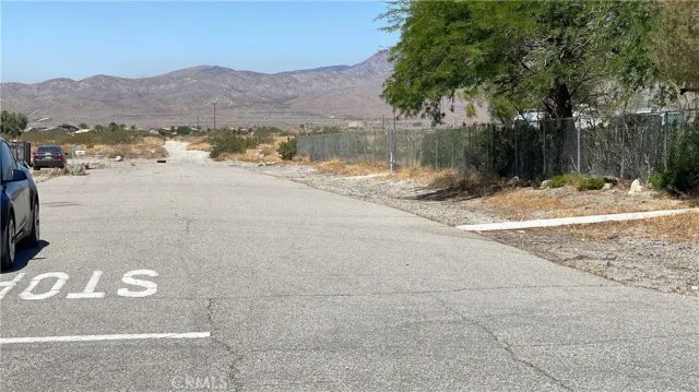 a view of a street with a large trees