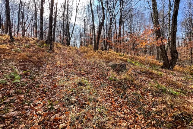 $339,000 | 464 Curtis Lane, Hamden, NY 13856