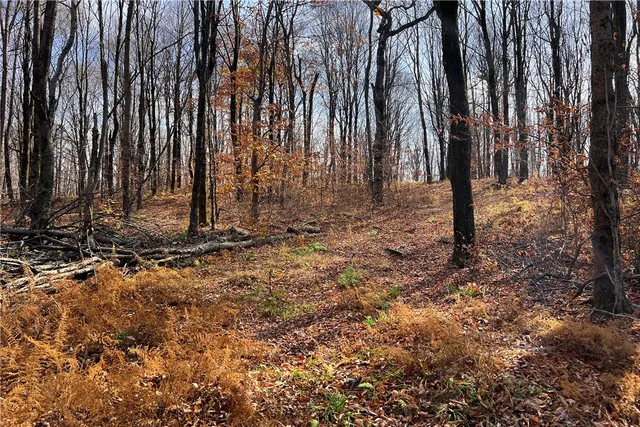 $339,000 | 464 Curtis Lane, Hamden, NY 13856