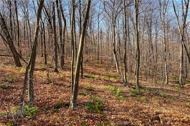 $339,000 | 464 Curtis Lane, Hamden, NY 13856