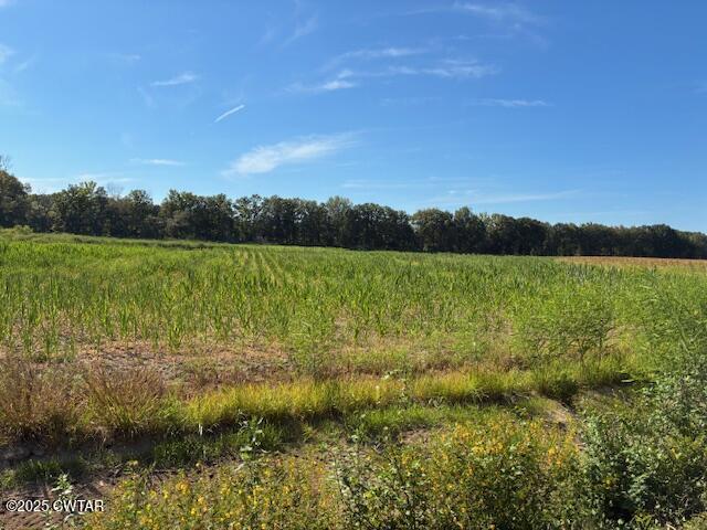 13217-13197 Johnsons Grove Road Halls, TN 38040 - Photo 11 of 34 a view of lawn and green space
