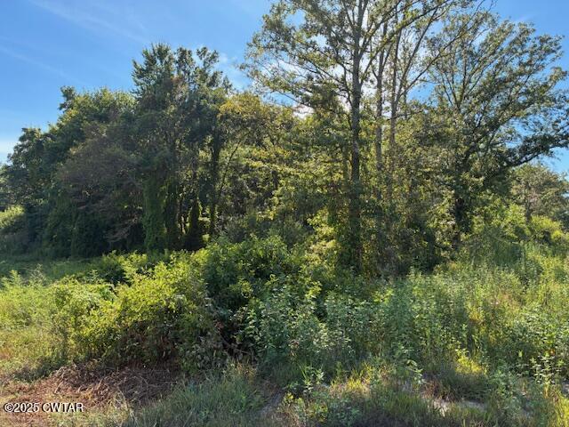 13217-13197 Johnsons Grove Road Halls, TN 38040 - Photo 14 of 34 a view of a garden with a tree