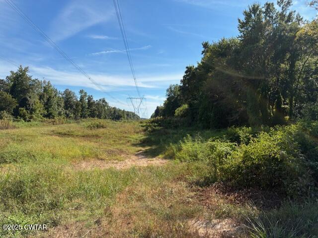 13217-13197 Johnsons Grove Road Halls, TN 38040 - Photo 15 of 34 a view of a garden