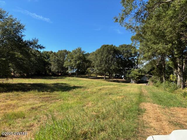 13217-13197 Johnsons Grove Road Halls, TN 38040 - Photo 17 of 34 a view of yard outdoor space and swimming pool