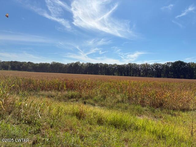 13217-13197 Johnsons Grove Road Halls, TN 38040 - Photo 18 of 34 a view of lake view and mountain