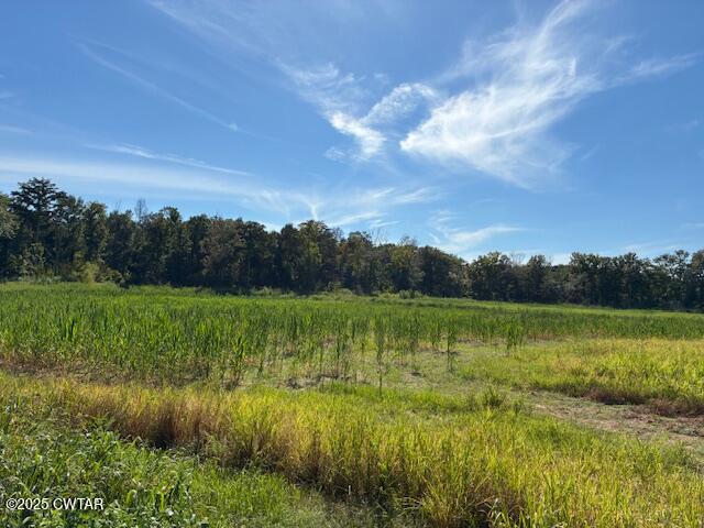 13217-13197 Johnsons Grove Road Halls, TN 38040 - Photo 19 of 34 a view of a lake with green yard