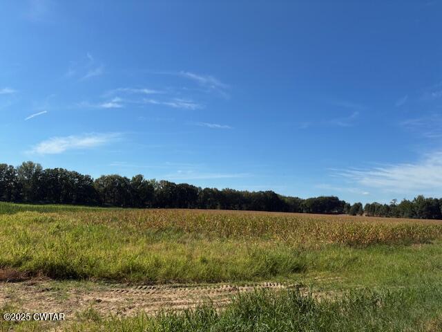 13217-13197 Johnsons Grove Road Halls, TN 38040 - Photo 20 of 34 a view of lake and mountain