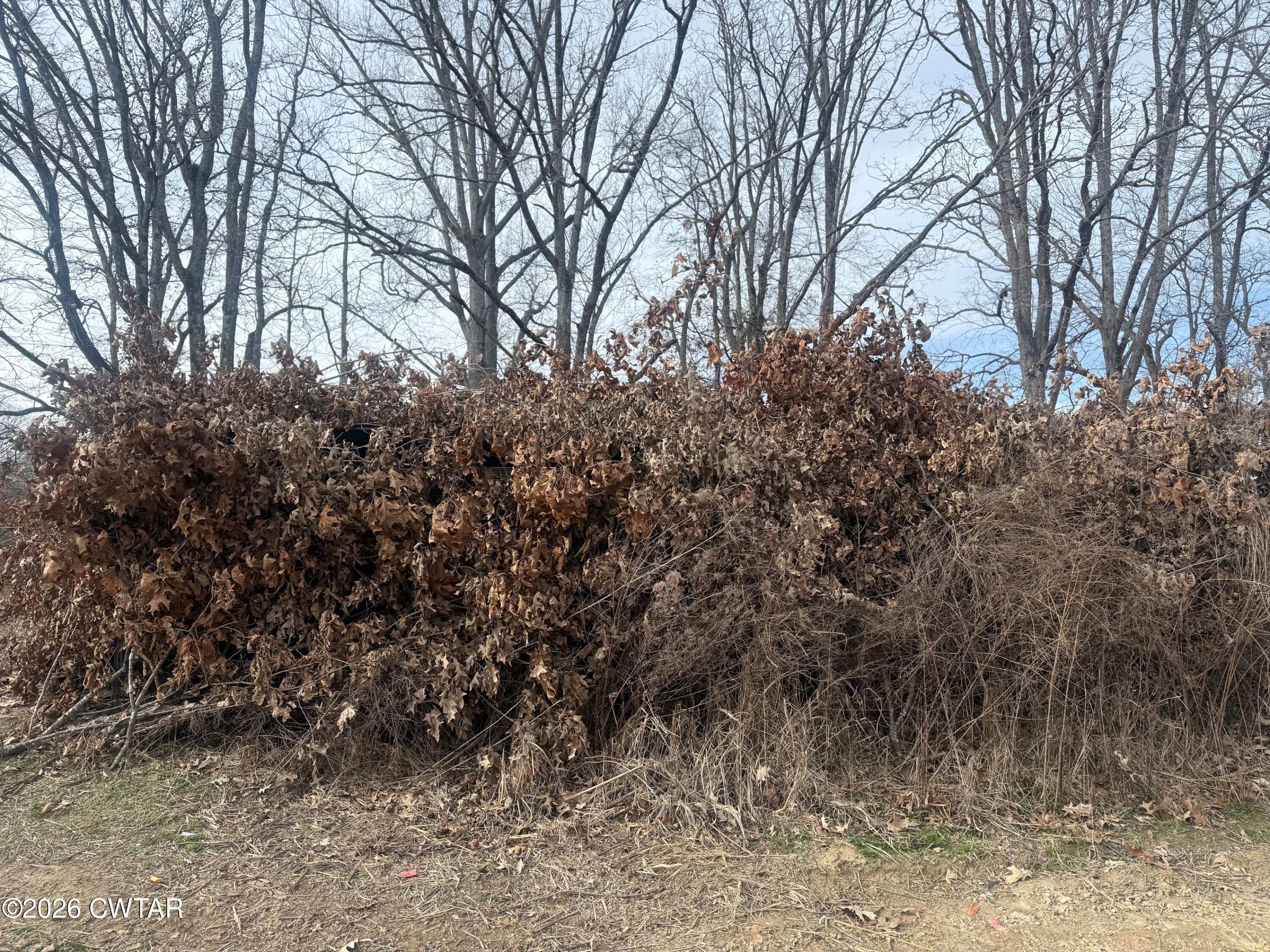 13217-13197 Johnsons Grove Road Halls, TN 38040 - Photo 25 of 34 a view of a yard