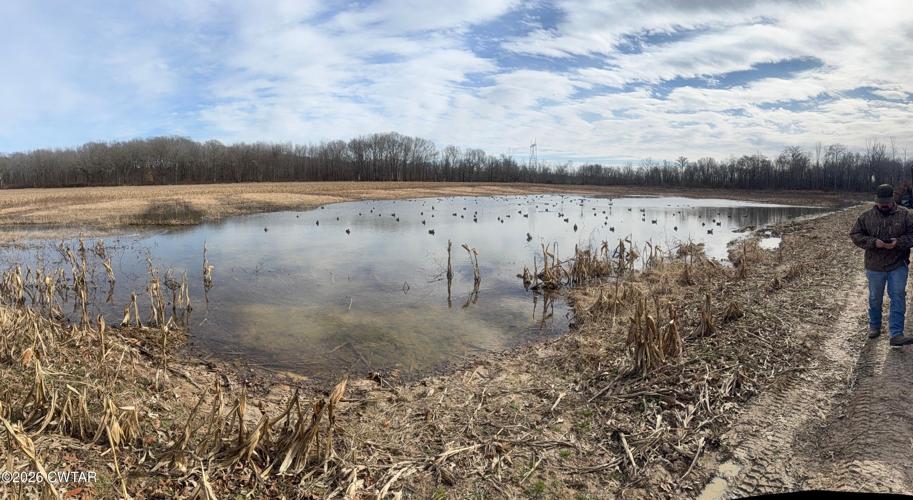 13217-13197 Johnsons Grove Road Halls, TN 38040 - Photo 27 of 34 a view of a lake view