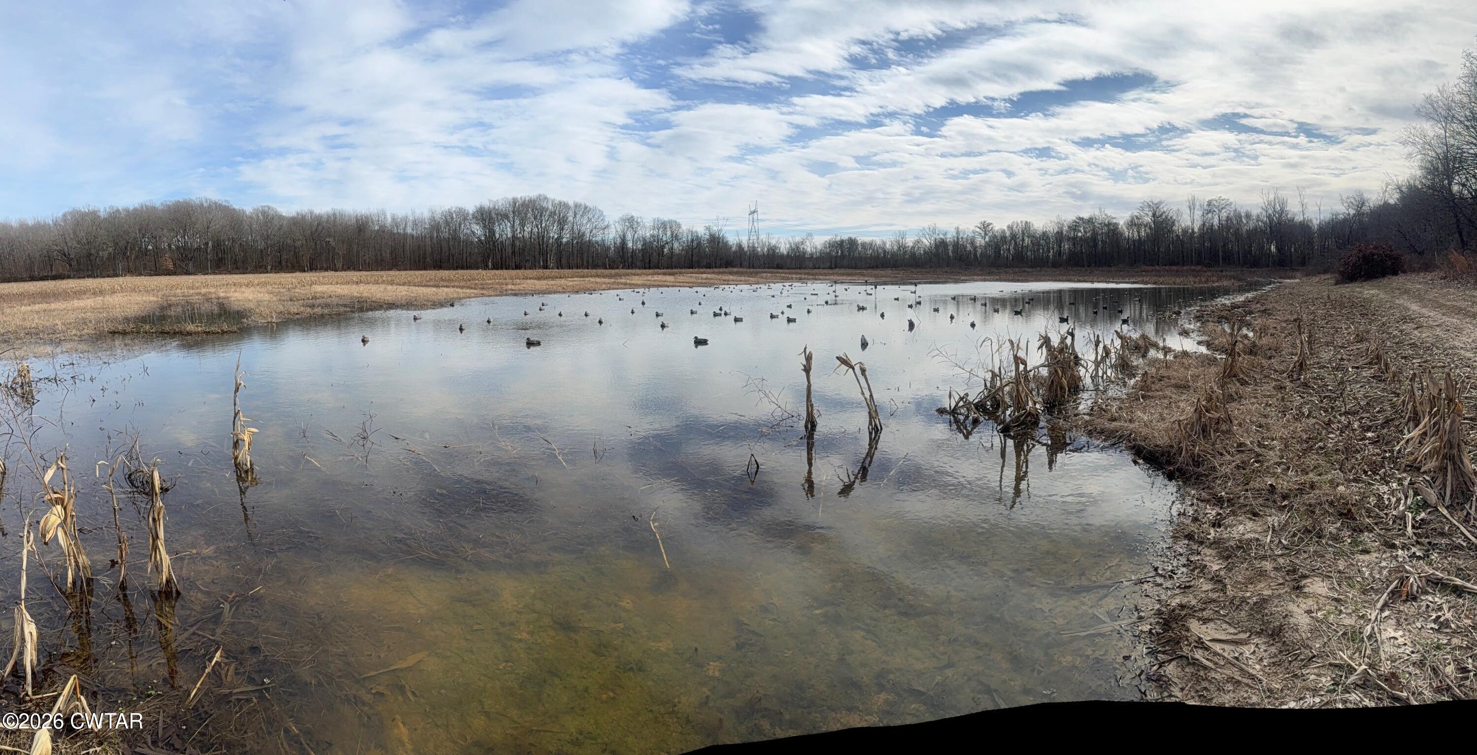 13217-13197 Johnsons Grove Road Halls, TN 38040 - Photo 28 of 34 a view of a lake with a yard