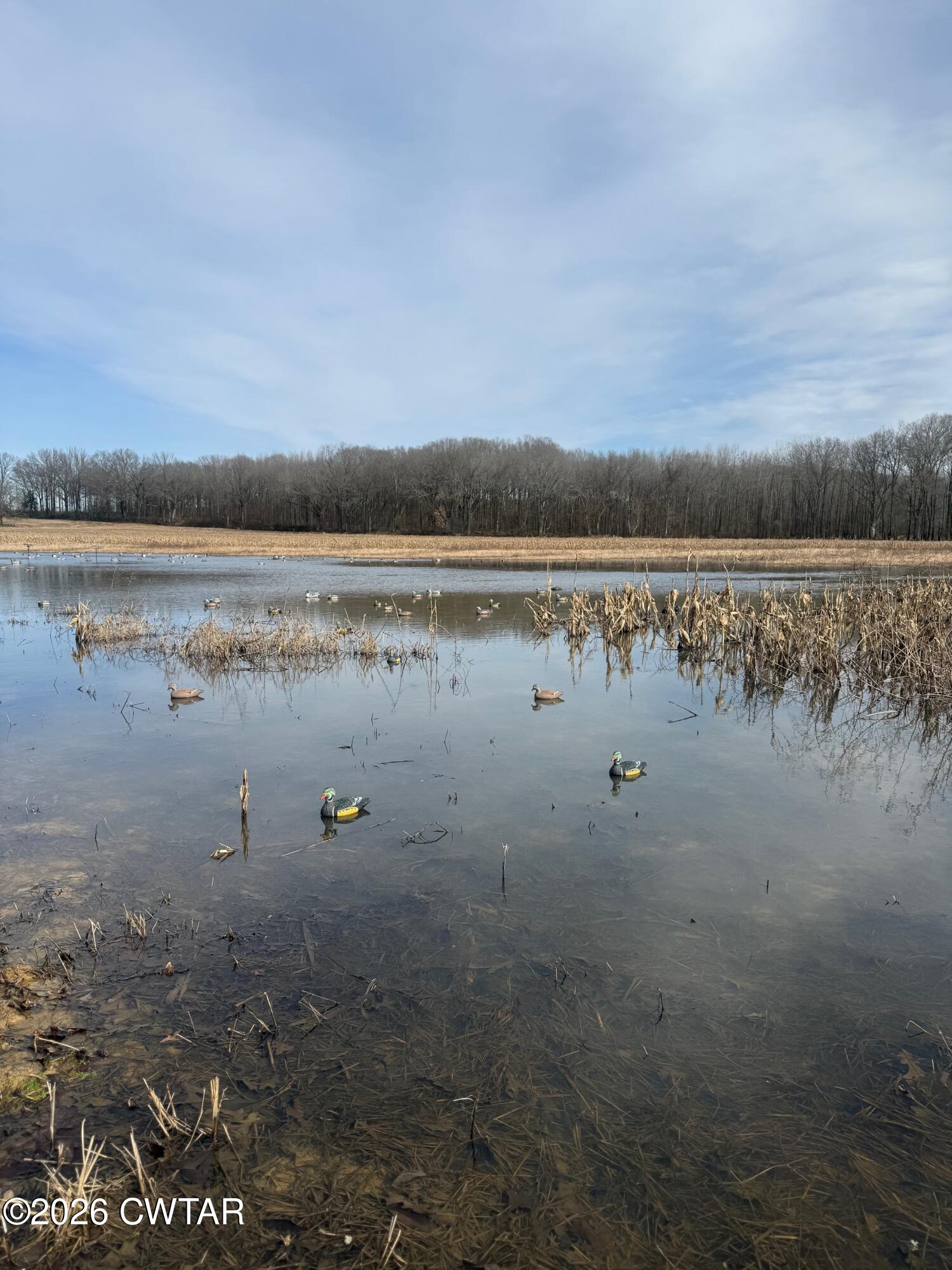 13217-13197 Johnsons Grove Road Halls, TN 38040 - Photo 33 of 34 a view of lake
