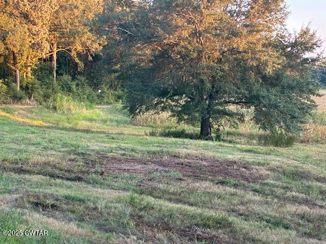 13217-13197 Johnsons Grove Road Halls, TN 38040 - Photo 5 of 34 a view of outdoor space with trees all around
