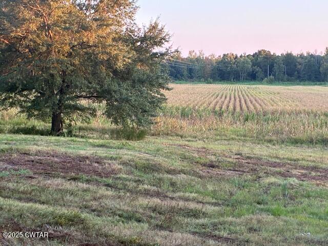 13217-13197 Johnsons Grove Road Halls, TN 38040 - Photo 6 of 34 a view of a field with a tree