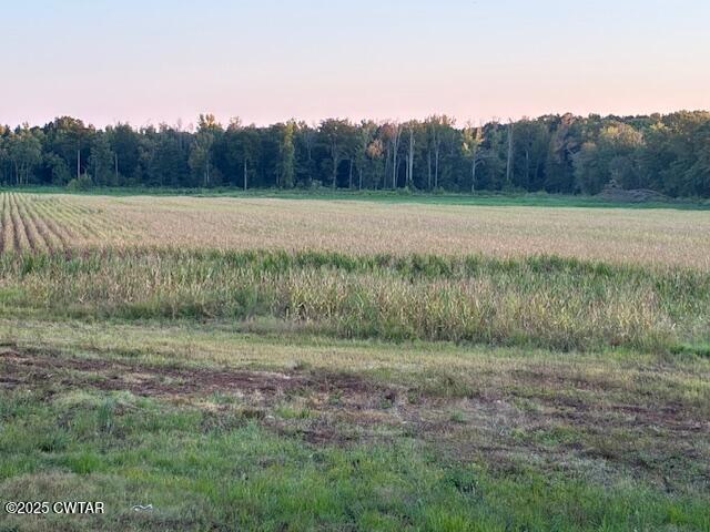 13217-13197 Johnsons Grove Road Halls, TN 38040 - Photo 8 of 34 a view of a lush green field