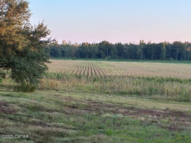 13217-13197 Johnsons Grove Road Halls, TN 38040 - Photo 9 of 34 a view of a lush green field