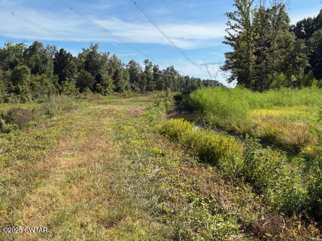 13217-13197 Johnsons Grove Road Halls, TN 38040 - Photo 10 of 34 a view of a bunch of trees and bushes