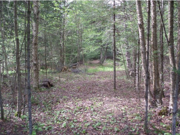 538 Lang Road Bath, NH 03740 - Photo 15 of 31