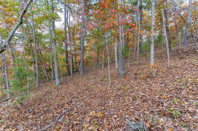 $66,552 | 0 Highway Jj (tract 5) Marquand Mo 63655, Marquand, MO 63655