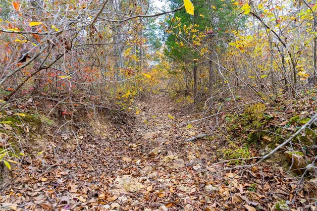 $66,552 | 0 Highway Jj (tract 5) Marquand Mo 63655, Marquand, MO 63655