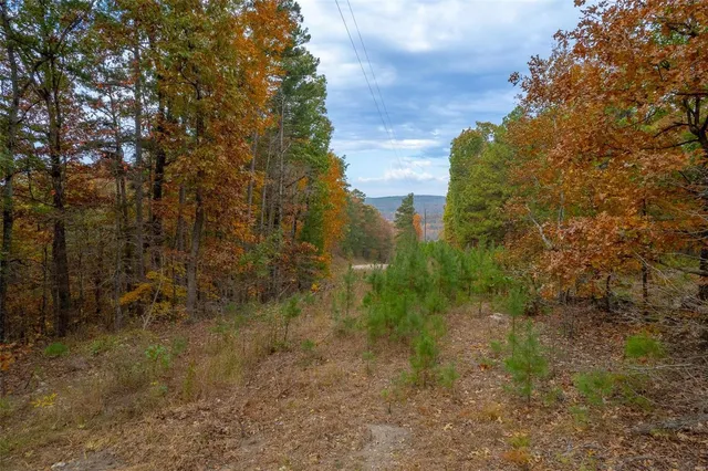 $66,552 | 0 Highway Jj (tract 5) Marquand Mo 63655, Marquand, MO 63655