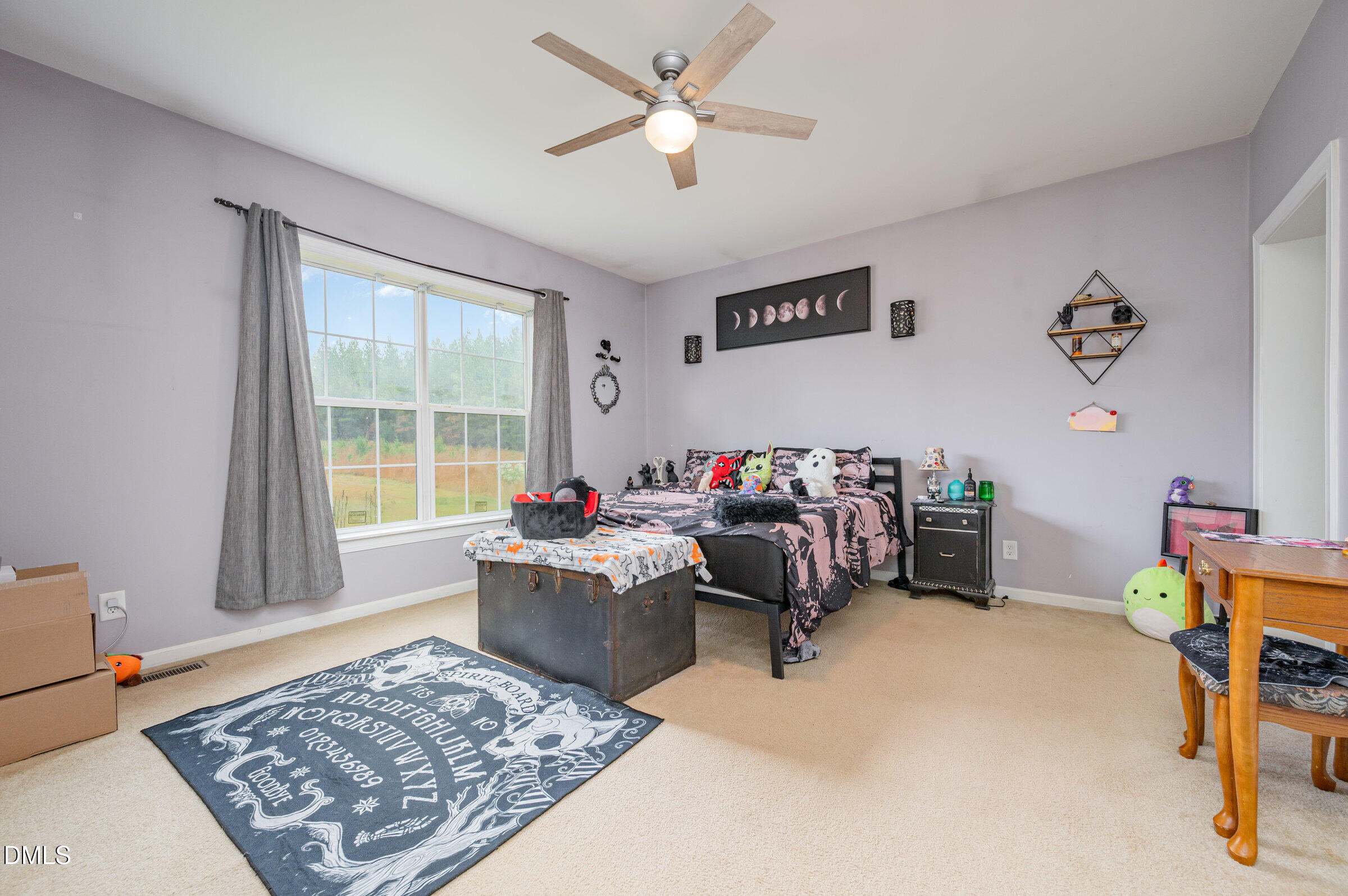11801 Burlington Road Hurdle Mills, NC 27541 - Photo 15 of 32 a living room with furniture and a rug