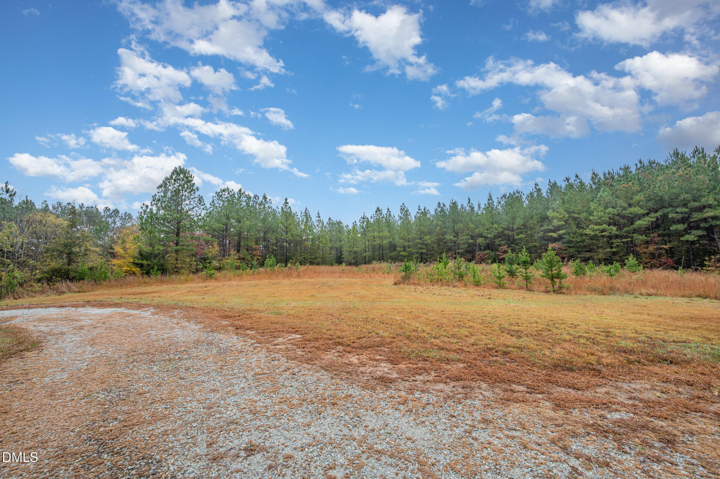 11801 Burlington Road Hurdle Mills, NC 27541 - Photo 28 of 32 a view of outdoor space and yard