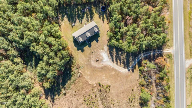 a view of a yard with plants