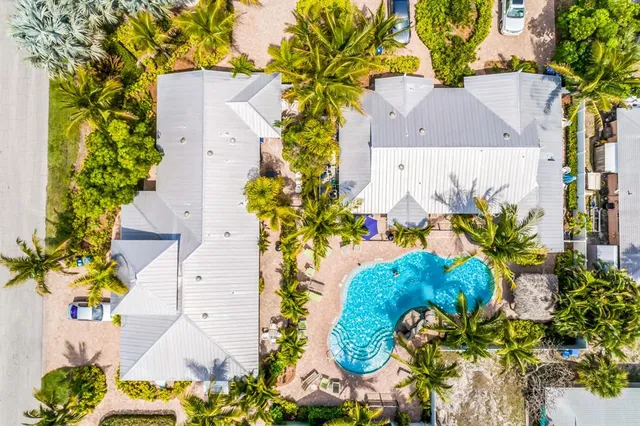 a view of a flower in a garden