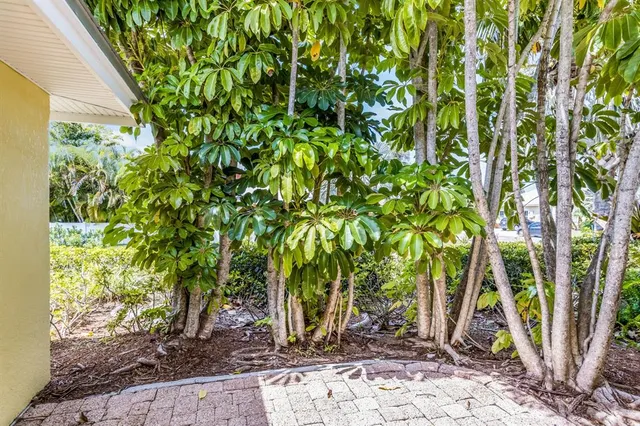 a view of a backyard