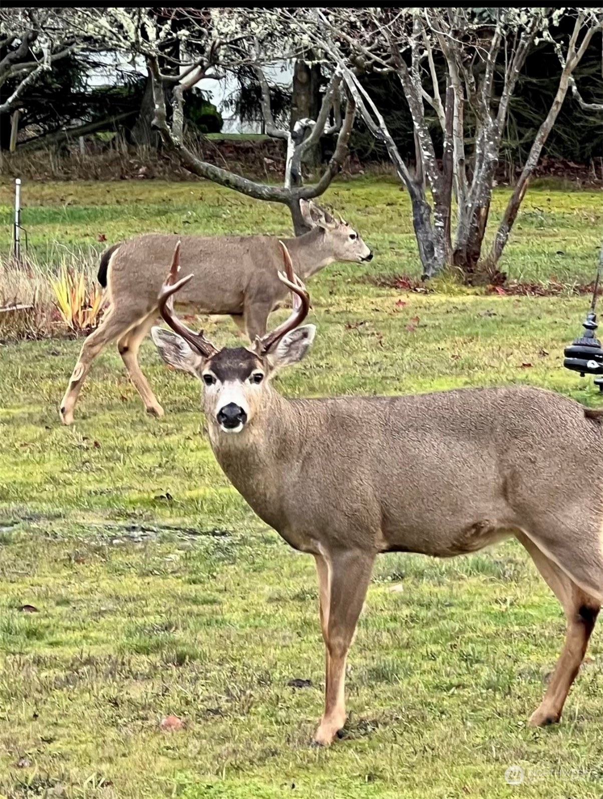 60 Klahhane Road Sequim, WA 98382 - Photo 27 of 36 a view of a swimming pool with a yard and sitting space